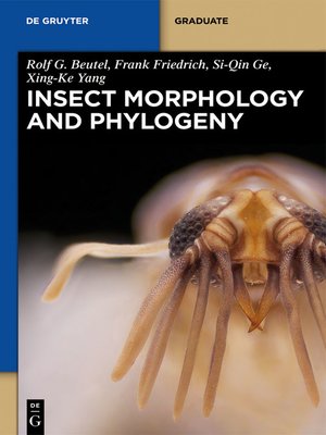 cover image of Insect Morphology and Phylogeny